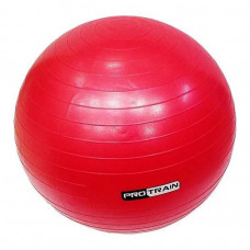 Мяч гимнастический надувной, фитбол Protrain TA-6402-55