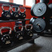 Гиря обрезиненная с хромированной ручкой PROFI-FIT 24 кг Гиря обрезиненная с хромированной ручкой PROFI-FIT 24 кг