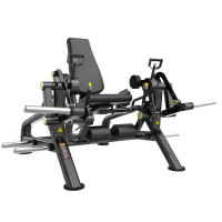 Разгибание ног Insight Fitness BL11