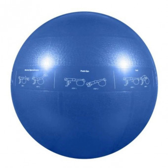 Мяч гимнастический надувной, фитбол GoFit GF-55PRO