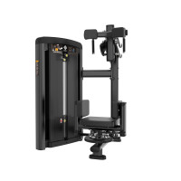 Торс-машина Insight Fitness BH20 Торс-машина Insight Fitness BH20