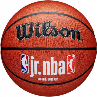 Мяч баскетбольный Wilson JR. NBA Fam Logo Indoor Outdoor WZ2009801XB5, размер 5